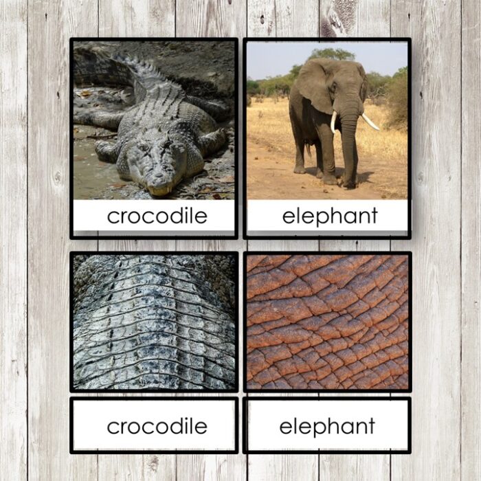 The Animal Coverings 3 Part Cards Student Book includes a mat with labeled photos and texture close-ups of a crocodile and elephant—ideal for use with 3 part cards or as a student book companion. Montessori Nature Printables