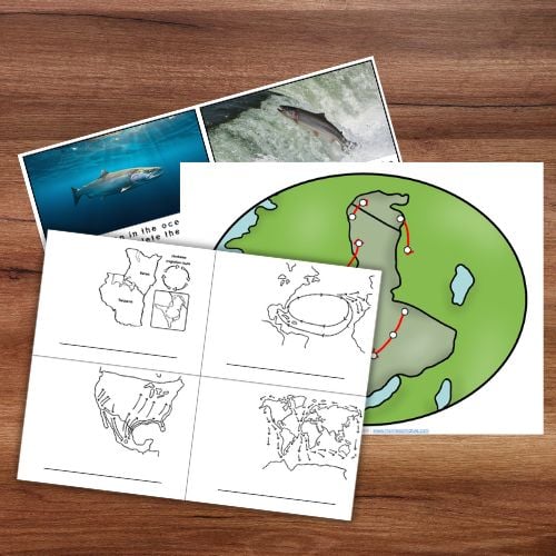 Animal Behavior: Migration - Image 2