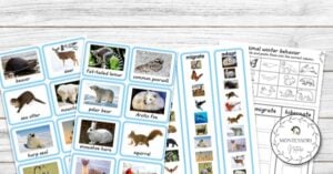 A pack of animals with pictures on them.
