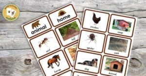 A set of cards with pictures of animals on them.