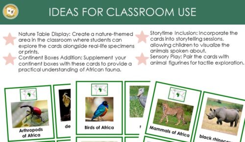 45 Animals Of Africa: 3 Part Cards Facts - Montessori Nature