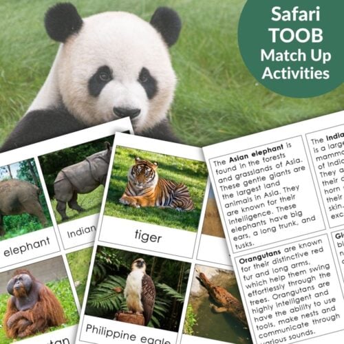 Discover the Animals of Asia: Safari TOOB Compatible 3 Part Cards & Facts, with photos and info on the panda, tiger, elephant, orangutan, and Philippine eagle—ideal for interactive match-up and learning activities. Montessori Nature Printables