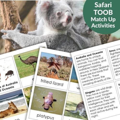 Explore the Animals of Australia & Oceania: Safari TOOB Compatible 3 Part Cards & Facts, featuring images and facts about unique animals like the koala, frilled lizard, platypus, and emu—perfect for learning about Oceania’s wildlife!. Montessori Nature Printables