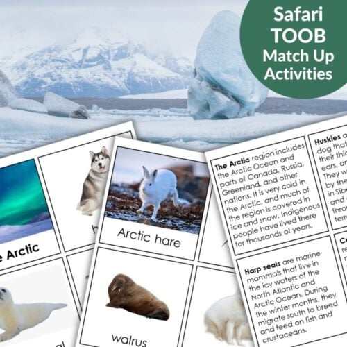 Image of "Arctic Animals: Safari TOOB Compatible 3 Part Cards & Facts" featuring husky, Arctic hare, and walrus, set in an icy Arctic scene. Perfect for exploring Arctic animals and using with Safari TOOB Match Up Activities!. Montessori Nature Printables
