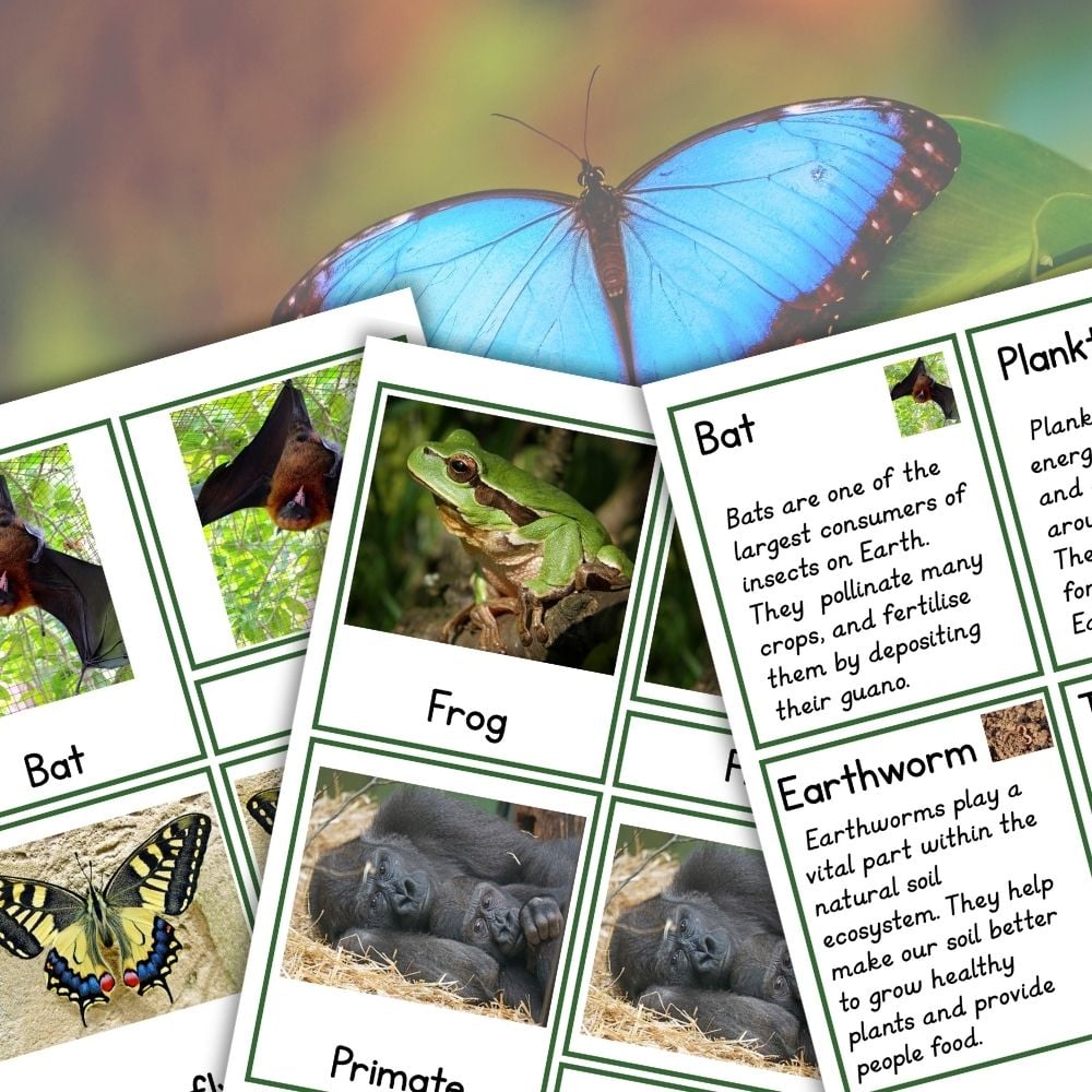 Animals That Help Humans Survive: 3 Part Cards Facts feature educational cards about bats, frogs, earthworms, and primates on a background with a large blue butterfly, highlighting animals' roles in human survival. Montessori Nature Printables