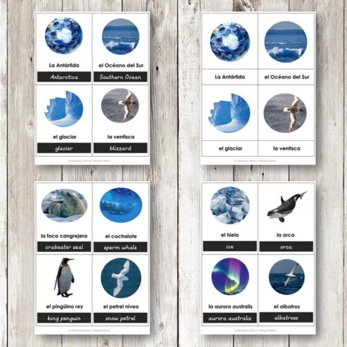 Antarctica-3-Part-Cards-Bilingual-Montessori-Nature-Multilingual-Printable-Spanish