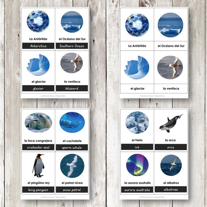 Antarctica-3-Part-Cards-Bilingual-Montessori-Nature-Multilingual-Printable-Spanish