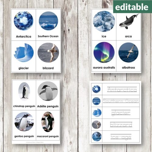 Antarctica Vocabulary 3 Part Cards with handwriting sheets feature Antarctic animals, landscapes, and terms like glacier, orca, and ice shelf on a wooden surface. Perfect for learning about Antarctica!. Montessori Nature Printables
