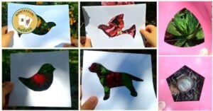 Art in nature with children homeschool montessori nature (1)
