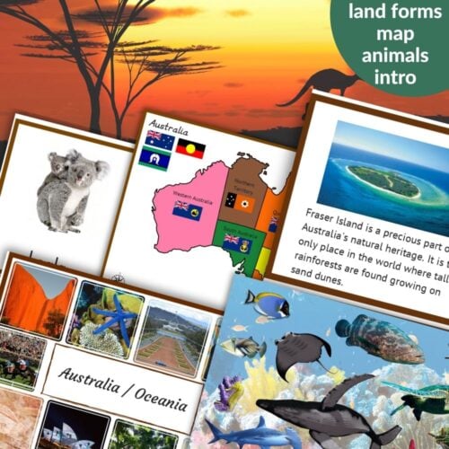 Australia / Oceania Hands On Activity Pack: Land Water Forms Great Barrier Reef Koala Animals