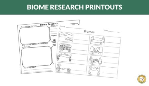 Biomes of the World Maps Animals Student Research Forms - Montessori Nature