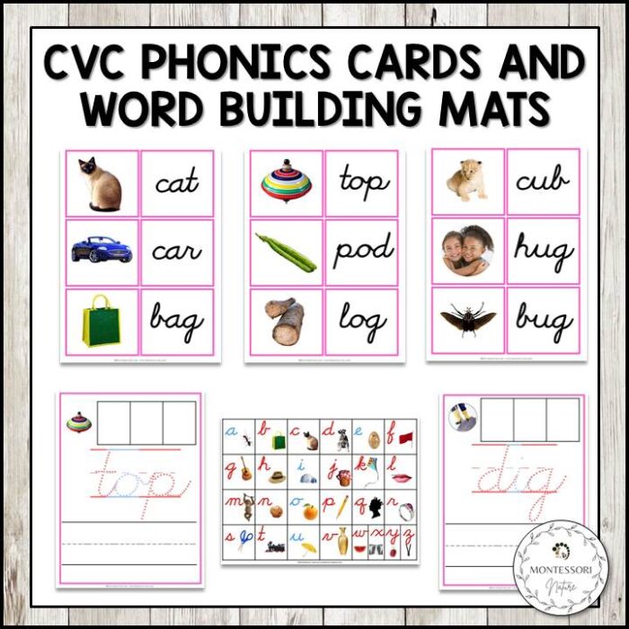 CVC Phonics Cards Word Building Mats Cursive Script Montessori Nature