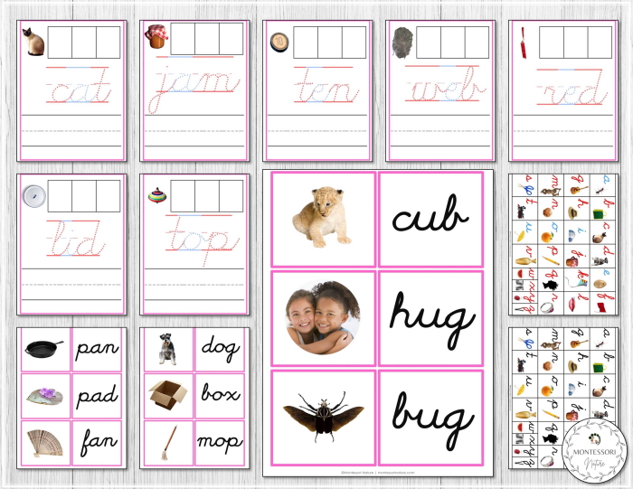 A set of worksheets with pictures of animals and words.
