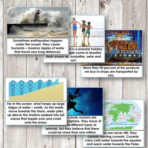 Characteristics of the Ocean Biome
