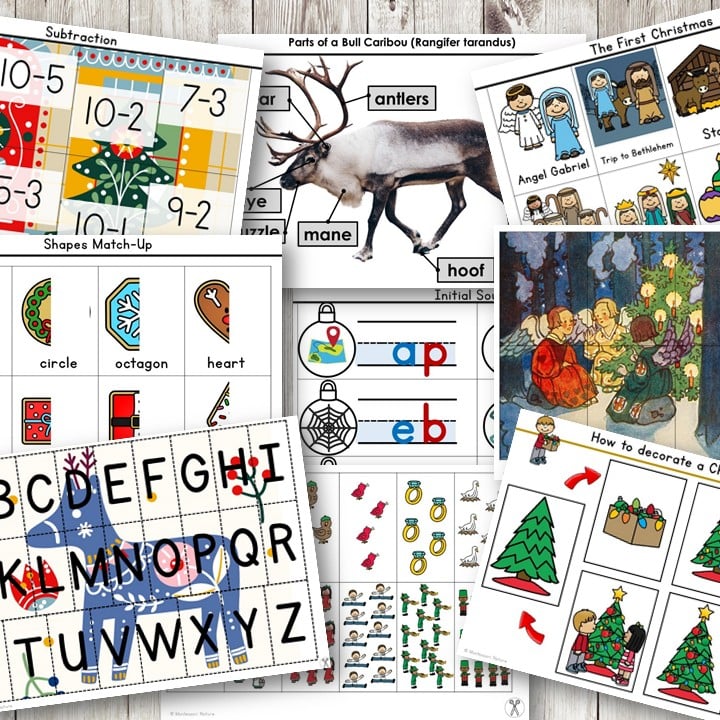 Collage of Christmas-themed worksheets with math problems, alphabet cards, caribou diagram, shape matching & holiday activities. Text: "Christmas Pack Preschool Kindergarten Busy Book," ideal for learning folders. Montessori Nature Printables
