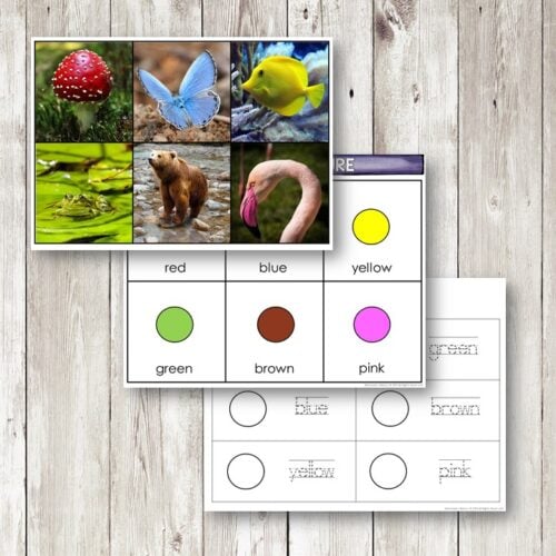 A collage featuring a red mushroom, blue butterfly, yellow fish, green frog, and the "Gemstones Pack" color sorting sheet with circles for red, blue, yellow, green, brown, pink—and sparkling gemstone-inspired hues. Montessori Nature Printables