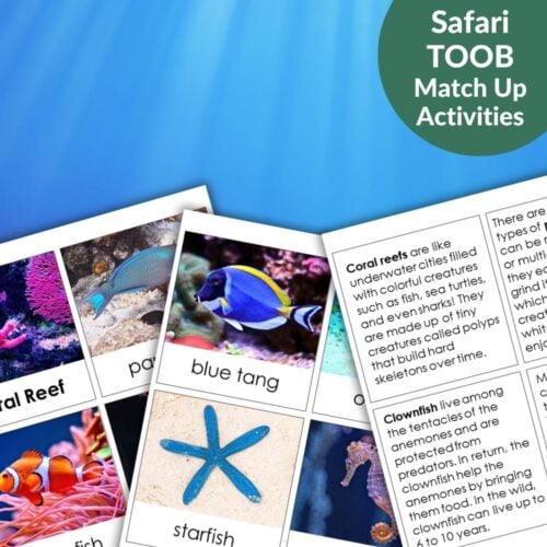 Coral Reef: Safari TOOB Compatible 3 Part Cards & Facts feature ocean animals like blue tang, clownfish, and starfish with images and fun facts on a coral reef background—great for early learning and Safari TOOB fans. Montessori Nature Printables