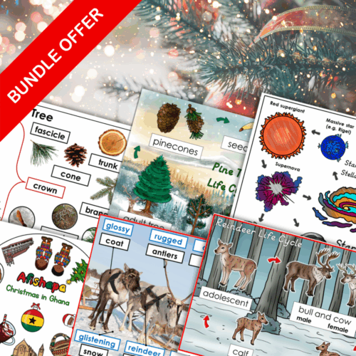December Bundle