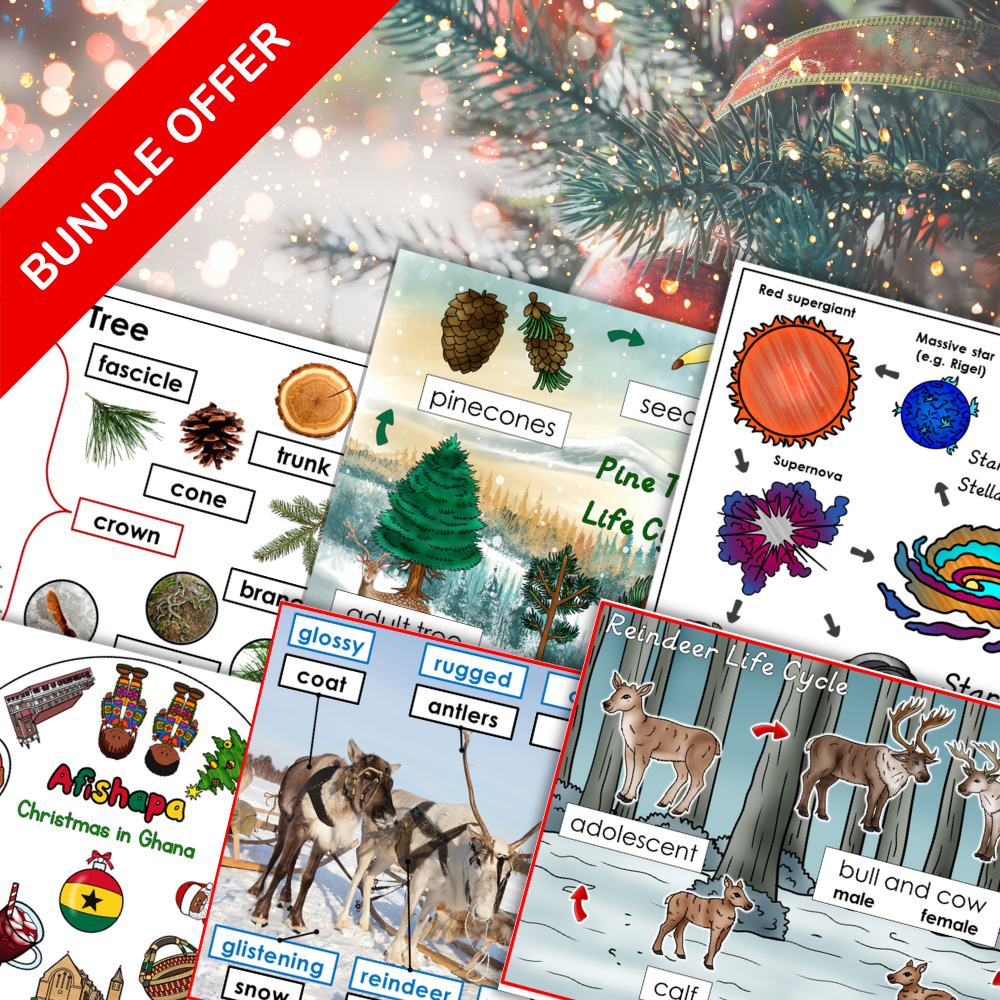 A collage of educational worksheets with Christmas and winter themes, reindeer, pine trees, and a red "BUNDLE OFFER" banner highlights the December Bundle. Festive decorations set a seasonal mood for this engaging resource. Montessori Nature Printables