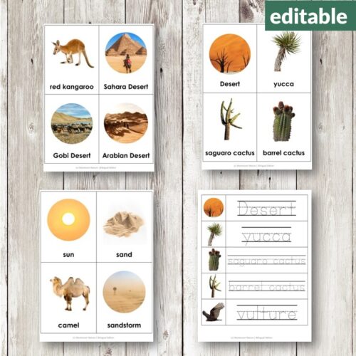 Desert Vocabulary 3 Part Cards include desert-themed Montessori cards with vocabulary for plants, animals, landscapes, handwriting practice sheets, and an editable label for personalized use. Montessori Nature Printables