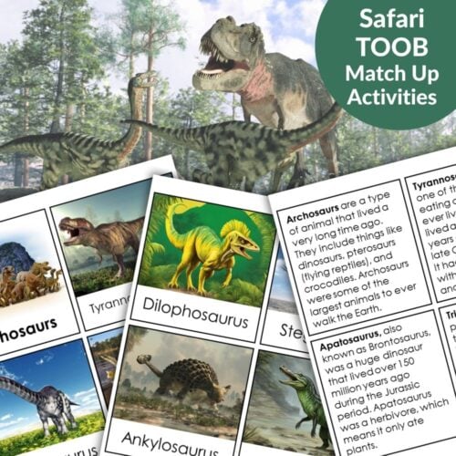 Dinosaurs: Safari TOOB Compatible 3 Part Cards & Facts