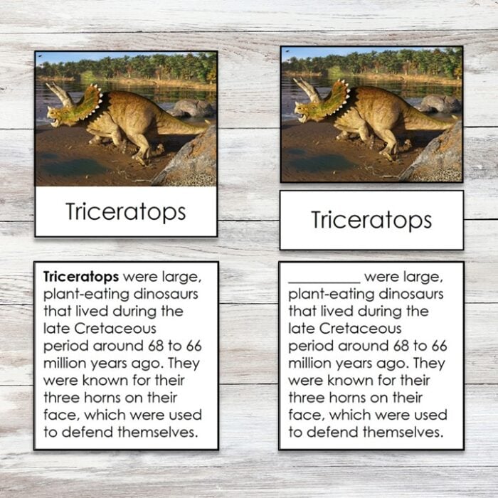 The Dinosaurs Safari Toob 3 Part Cards Editable includes two Triceratops comparison cards, each featuring an image, name, and description; one card begins with bold text, while the other does not.