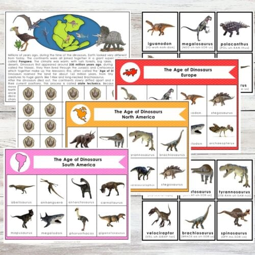 Dinosaurs & Continents: A Bingo Game features educational dinosaur flashcards, maps, and illustrations organized by continent, with labeled images of dinosaur species and fossil footprints. Montessori Nature Printables