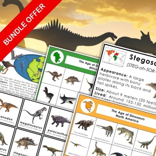 A promotional image for the Dinosaurs of the Continents Bundle, showcasing illustrated fact sheets and cards about dinosaurs from around the world, with a red "BUNDLE OFFER" banner across the corner. Montessori Nature Printables
