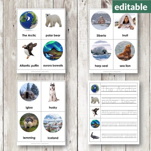 Discover The Arctic Vocabulary 3 Part Cards—educational cards featuring images and labels of Arctic animals, people, landscapes, and weather phenomena to help you learn key regional vocabulary. Montessori Nature Printables