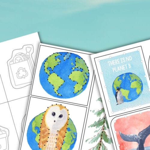 The Earth Day Fine Motor Preschool Activities set includes three illustrated cards—a globe, an owl, and a penguin with “There is no planet B”—on a blue background, perfect for preschool fun and fine motor skill practice. Montessori Nature Printables