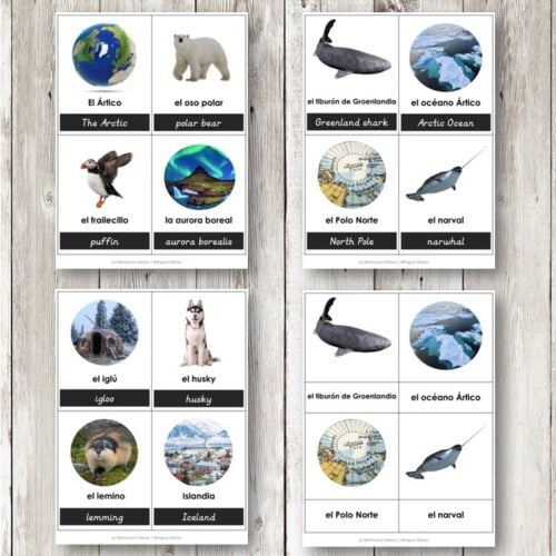 El Ártico The Arctic Spanish Bilingual Vocabulary Cards: 3-part cards with images and labels of Arctic animals and places in Spanish and English, ideal for engaging educational activities. Montessori Nature Printables