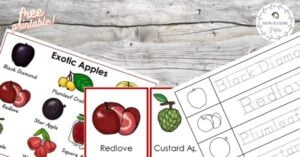 A set of fruit coloring pages with a picture of an apple.