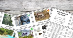 Assorted educational task cards featuring topics like Biomes of the World, climate, landforms, and animals are spread out on a wooden surface—perfect for engaging hands on activities and printables. Montessori Nature Printables