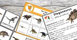 Several educational cards featuring dinosaurs, their names, pronunciations, and fun facts are spread out on a wooden surface—perfect for hands-on activities with these prehistoric giants. Montessori Nature Printables