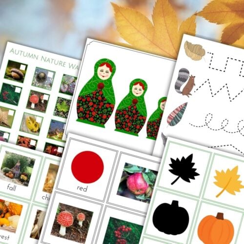The Fall Preschool Hands On Activity Pack features autumn-themed worksheets like nature walks, tracing lines, color cards, and shape matching—ideal for preschool activities—beautifully presented on a backdrop of fall leaves. Montessori Nature Printables