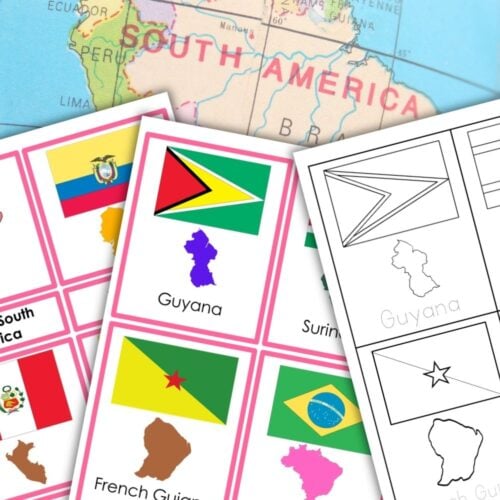The Flags of South America 3 Part Cards Student Book includes assorted cards with flags and maps of South American countries, plus a "3 part cards blackline master" label—ideal for any study on South American flags. Montessori Nature Printables