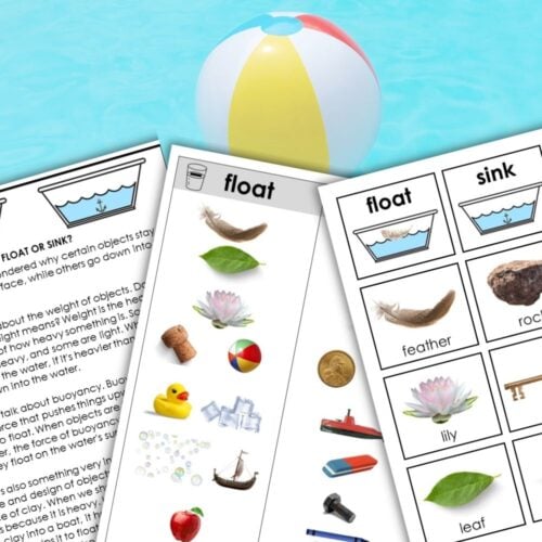 Float and Sink Sorting Activities