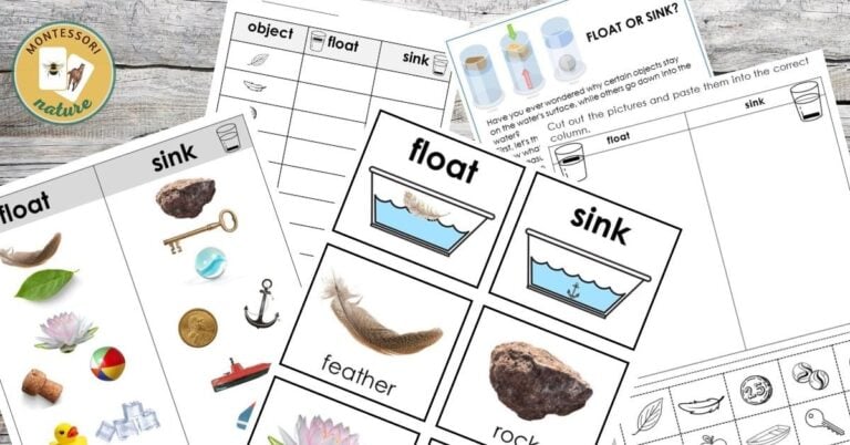 Float and Sink sorting Activity - Montessori Nature