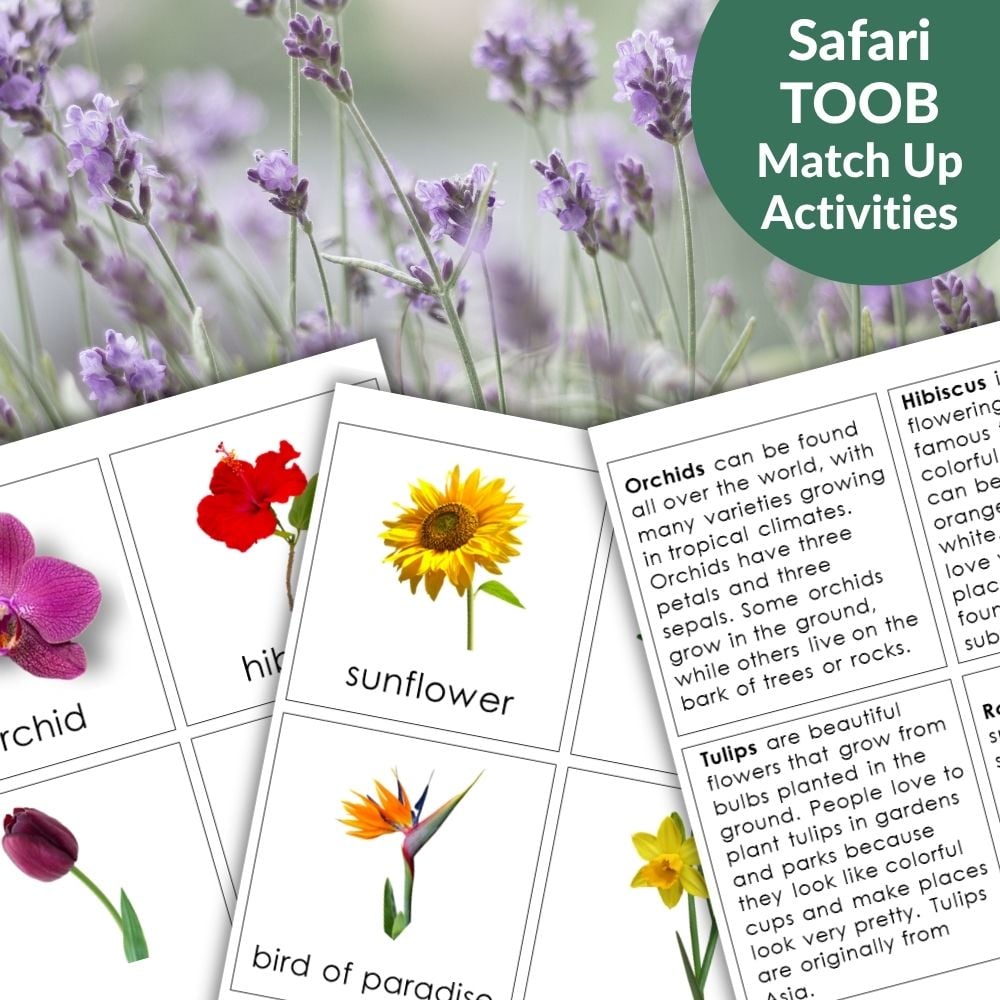 Flowers: Safari TOOB Compatible 3 Part Cards & Facts feature Montessori-inspired flower cards—including orchid, sunflower, and bird of paradise—arranged on a lavender-themed background. Text reads: "Safari TOOB Match Up Activities. Montessori Nature Printables