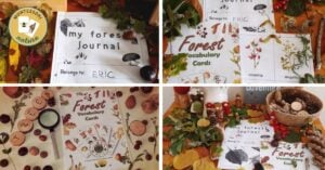 A collection of pictures of a forest journal with a magnifying glass.