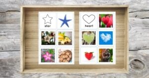 The Free Printables - Shapes and Real World Objects Sorting and Matching Cards by Montessori Nature include cards with star and heart shapes that match outlines and feature photos of real objects like flowers, cookies, and clouds shaped as stars or hearts.