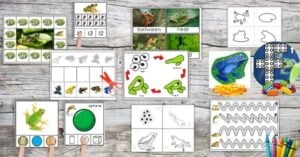 A variety of frog-themed early learning worksheets and activities, including Frog Life Cycle printables, matching, tracing, counting, shapes, and positional word exercises, arranged on a wooden surface. Montessori Nature Printables