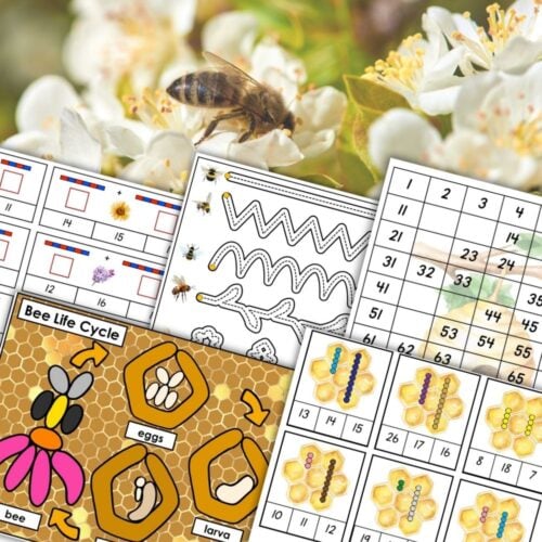 A close-up of a bee on a white flower is overlaid with Bee Preschool Activities & Life Cycle Play-Doh Mats, featuring numbers, tracing lines, counting, and exploring the Bee Life Cycle. Montessori Nature Printables