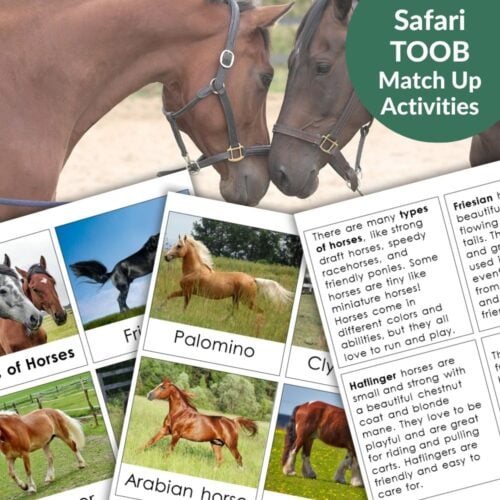 A set of "Horses: Safari TOOB Compatible 3 Part Cards & Facts" educational materials and activity sheets, shown with an image of two brown horses touching noses. Montessori Nature Printables