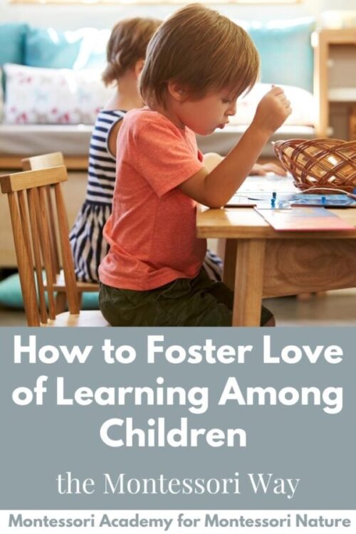 How to Foster Love of Learning Among Children - The Montessori Way ...