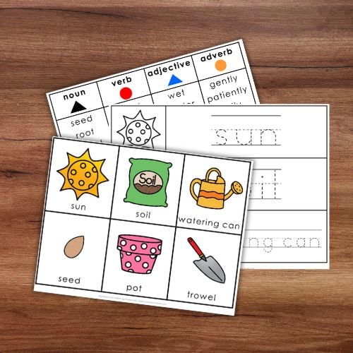 How to Grow a Plant: Spring Summer Gardening Sequencing Activity Grammar includes two worksheets with gardening-themed labeling, handwriting practice, a grammar chart (nouns, verbs, adjectives, adverbs), and a plant growth sequencing activity for kids. Montessori Nature Printables