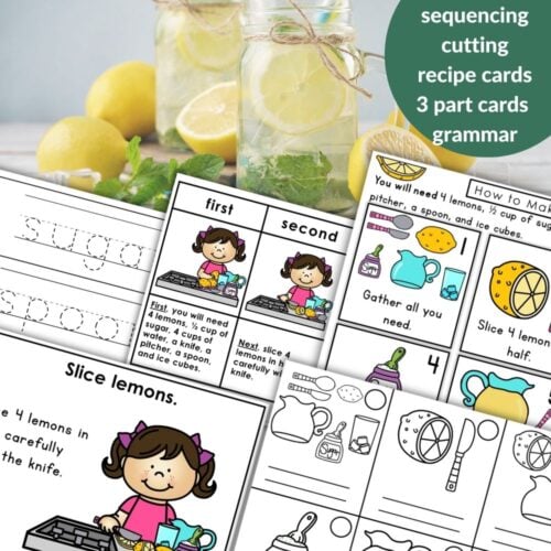 How to Make Lemonade Recipe - Image 1