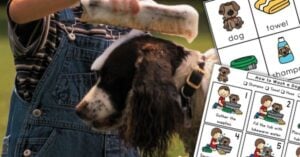 A child washes a dog with a sponge outdoors—a perfect summer activity. Overlaid are illustrated instructions and cards for washing a dog, showing items like shampoo, towel, and steps to follow to build trust with your pet. Montessori Nature Printables