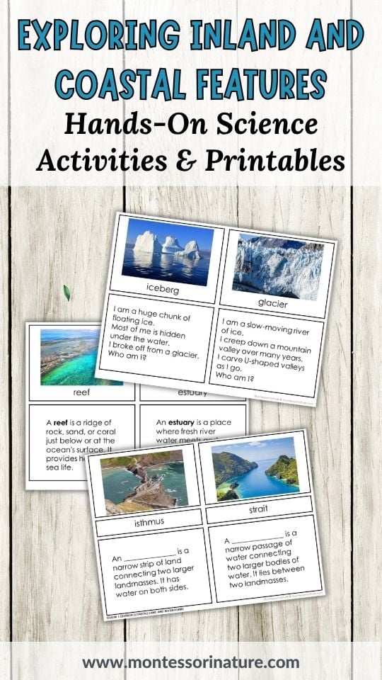 Four educational cards define and illustrate inland and coastal features—an iceberg, glacier, river, and beach—set on a wooden surface with the title “Exploring Inland and Coastal Features.” Perfect for interactive science activities. Montessori Nature Printables