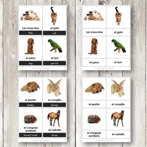 Las Mascotas - Pets Vocabulary 3 Part Cards is a bilingual Spanish-English set featuring pet names and images—dogs, cats, rabbits, parrots, and hermit crabs—ideal for learning pet vocabulary in both languages. Montessori Nature Printables